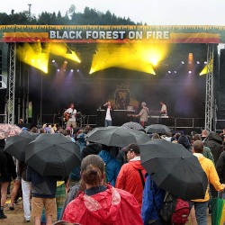 Black-Forest-on-Fire-2019-711