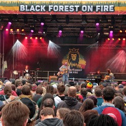 Black-Forest-on-Fire-2019-764