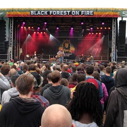 Black-Forest-on-Fire-2019-765